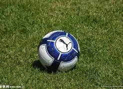 马贝拉客场,不敌对手,杜月徵,亚博体育,亚博体育官网,亚博体育app,亚博体育下载